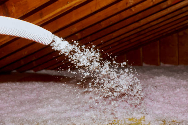 Types of Insulation We Offer in FL