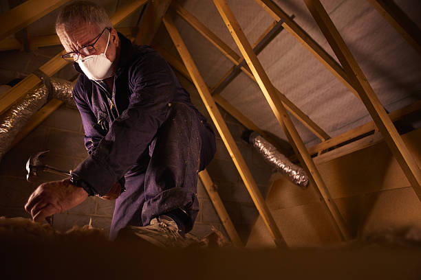 Best Insulation for Specific Applications in Trinity, FL
